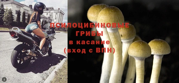марихуана Абаза