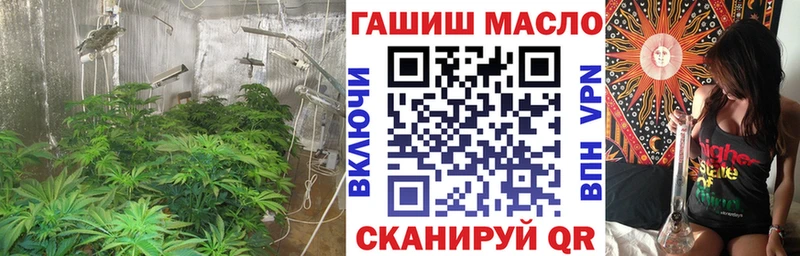 гидра tor  Кемь  Дистиллят ТГК жижа 